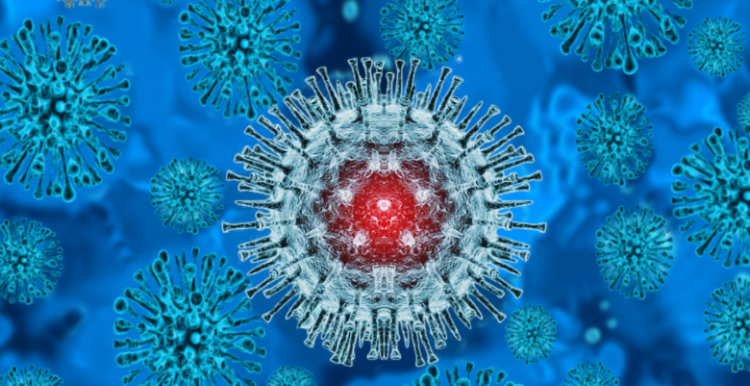Picture of mopox virus 