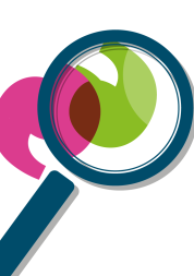 Magnifying glass icon